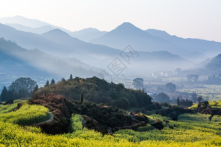 春天暖美江西婺源江岭油菜花摄影图背景