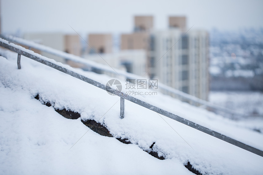 南方的雪图片