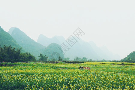 桂林阳朔自然背景高清图片素材