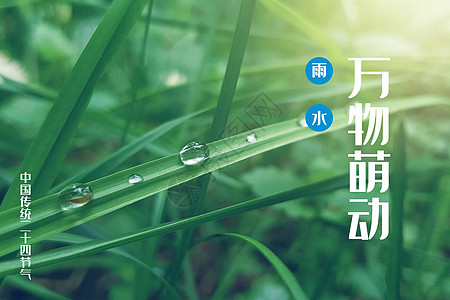 碧二十四节气雨水设计图片