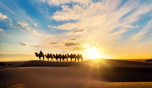 团队精神骆驼商队高清图片