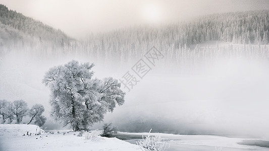 雾凇雪景大雾白茫茫高清图片
