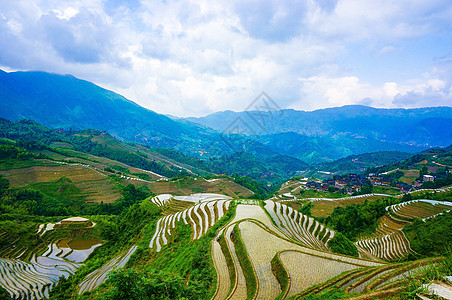 广西梯田桂林龙脊梯田风光背景