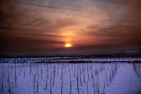 夕阳下的雪景图片