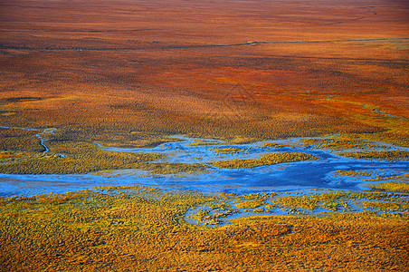 新疆巴音布鲁克沼泽风光摄影图片