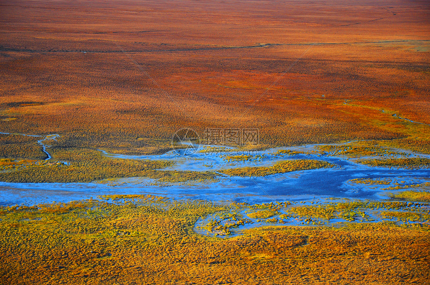 新疆巴音布鲁克沼泽风光摄影图片