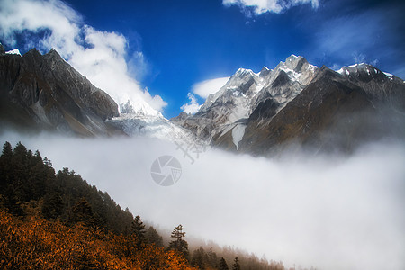 贡嘎山云海四川贡嘎海螺沟背景