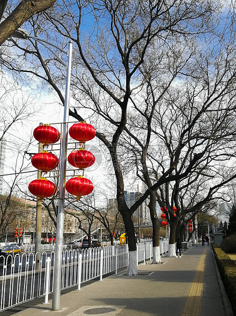 春节大街上喜洋洋的红灯笼图片