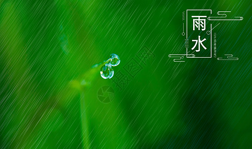 春天的雨水图片