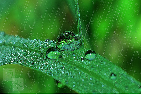 雨水节日高清图片素材