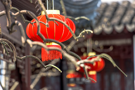 中国年大红灯笼背景图片