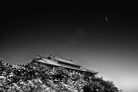 静谧的四川金顶月色图片