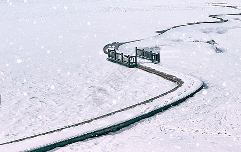 生肖牛美丽的坝上雪地雪景背景