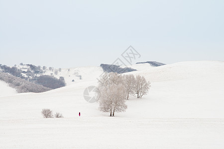 雪地上一个人的背影图片