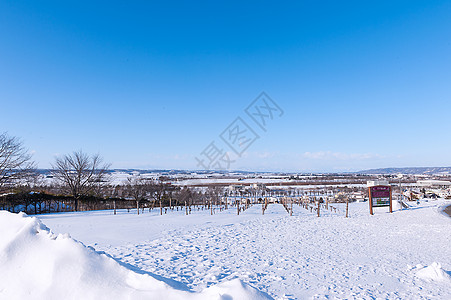 雪天行人日本旭川动物园风光背景