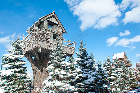 戏雪乐园日本小樽白色恋人生产基地背景