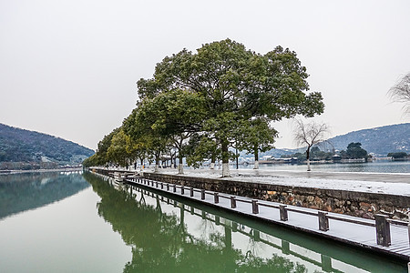 雪中浙江海宁盐官古城景区图片