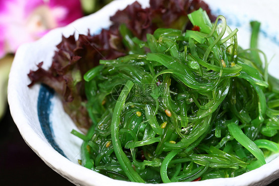 海群菜