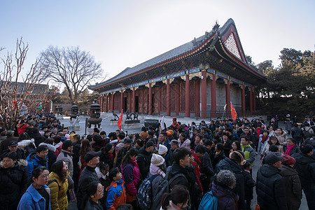 过年颐和园庙会图片