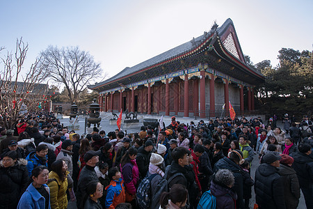 过年颐和园庙会背景图片