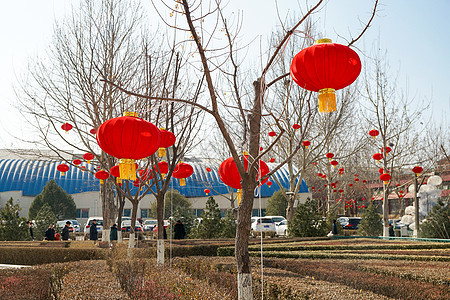 北京年味儿的植物乐园图片