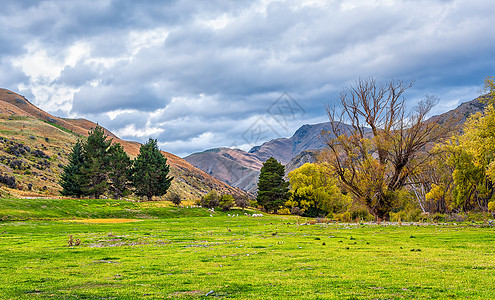 高山树林高山平原背景