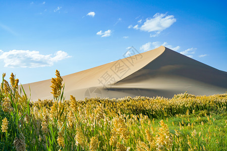 蓝天沙漠鸣沙山沙漠背景