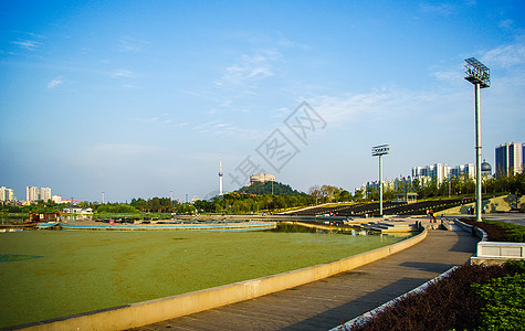 绿色草坪广场蓝天白云下的琴台广场背景