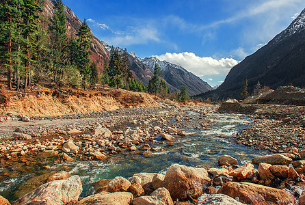 流水小溪四姑娘山双桥沟风光背景