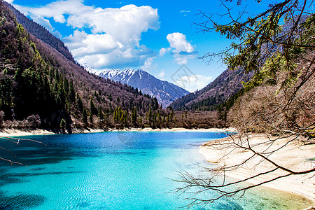 蓝绿色背景九寨沟的水背景