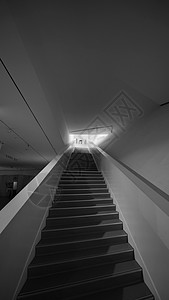武大万林博物馆的长楼梯高清图片