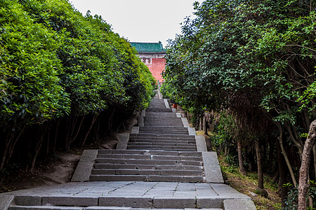 武当山太子坡背景