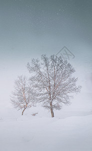 冰雪童话背景图片