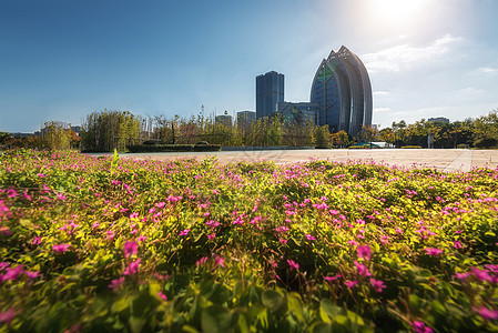 草圈城市绿化背景