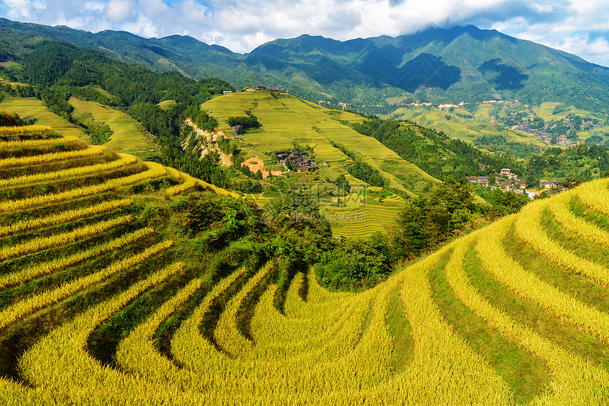 梯田秋天风景图片