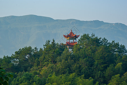 山顶上的树湖北黄石阳新仙岛湖景区风光背景