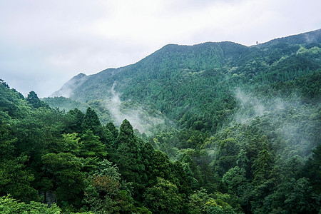 山水树木云雾缭绕的山峦背景