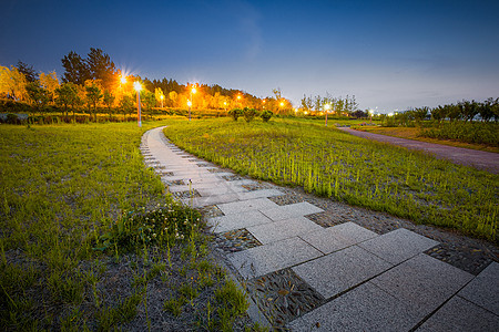 草地夜景城市绿地背景