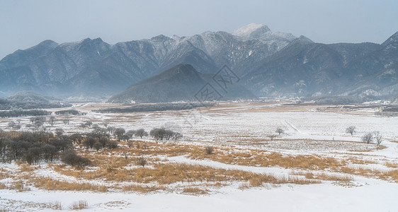 雪景湖神农架大九湖雪景背景