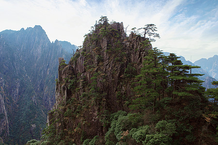 黄山毛尖早春黄山背景