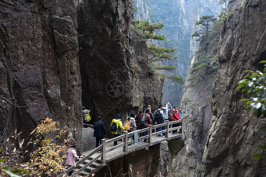 早春黄山图片