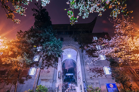 武汉大学夜樱樱花图片