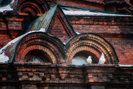 哈尔滨圣索菲亚大教堂上的白鸽图片