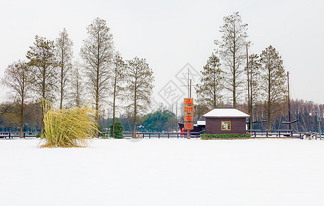 雪后美景图片