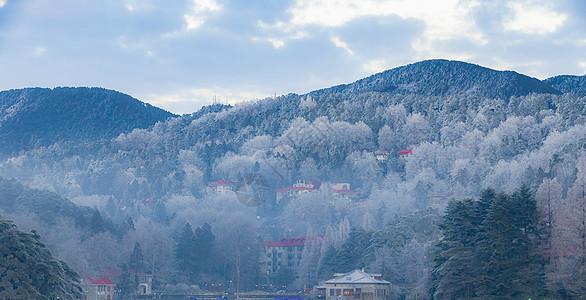 庐山雾凇美景背景