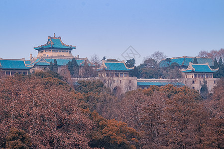 武汉大学樱花季武汉大学建筑群背景