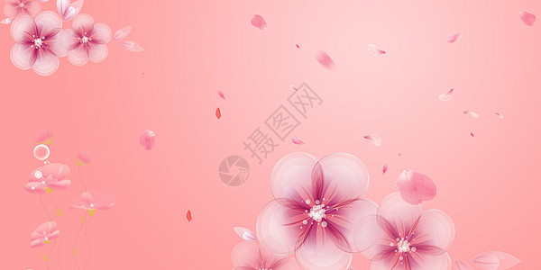 唯美粉色花朵背景背景图片