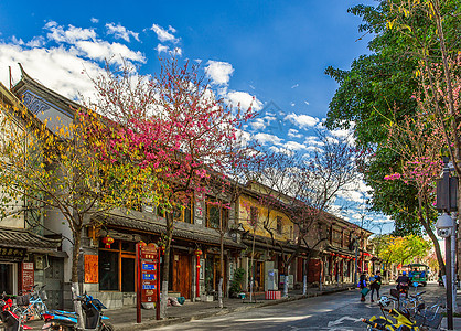 名建筑素材鲜花绽放的大理古城背景