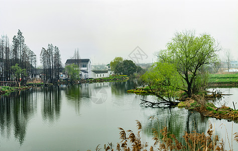 杨柳水乡春早背景