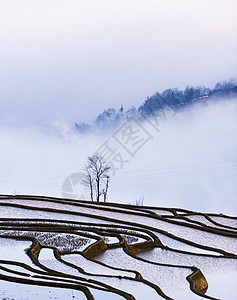 迷宫仙境春之歌背景